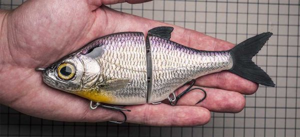 Choppy Classic - American Shad