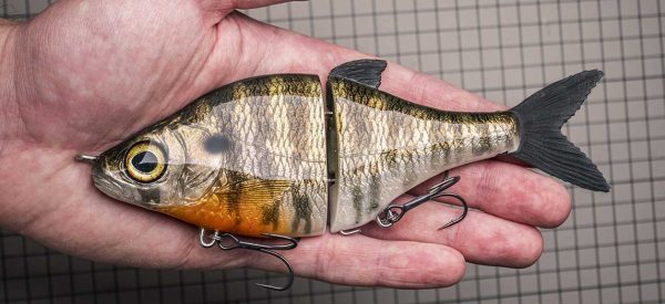 Choppy Classic - Bluegill
