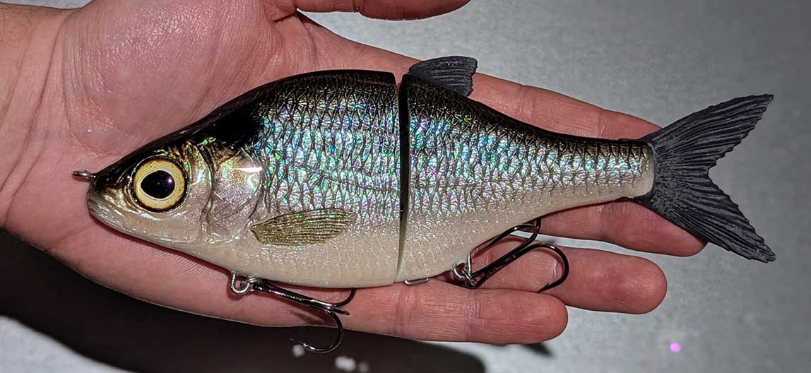 Choppy Big – Blueback