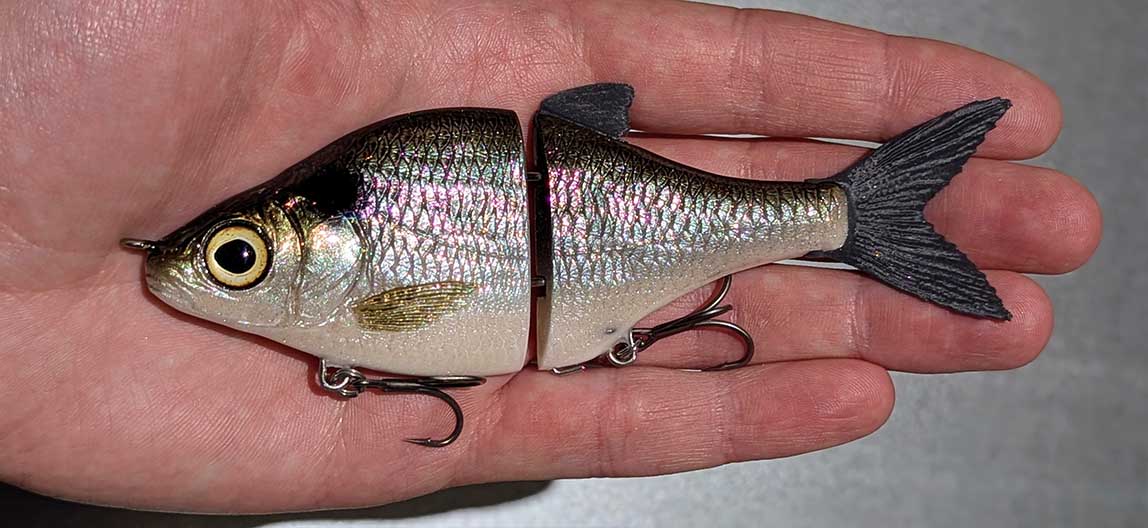 Choppy Mini – American Shad