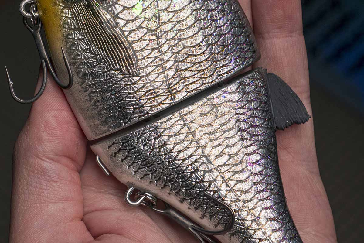 Choppy Big – American Shad - Image 2