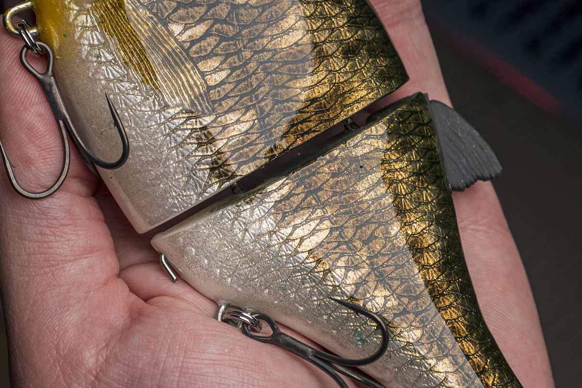 Choppy Big – Bass - Image 2