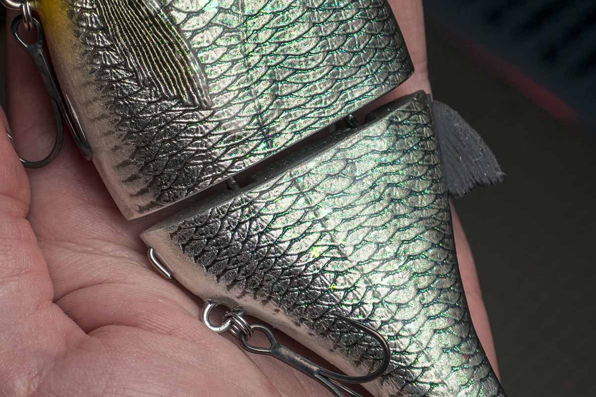 Choppy Big – Blueback - Image 2