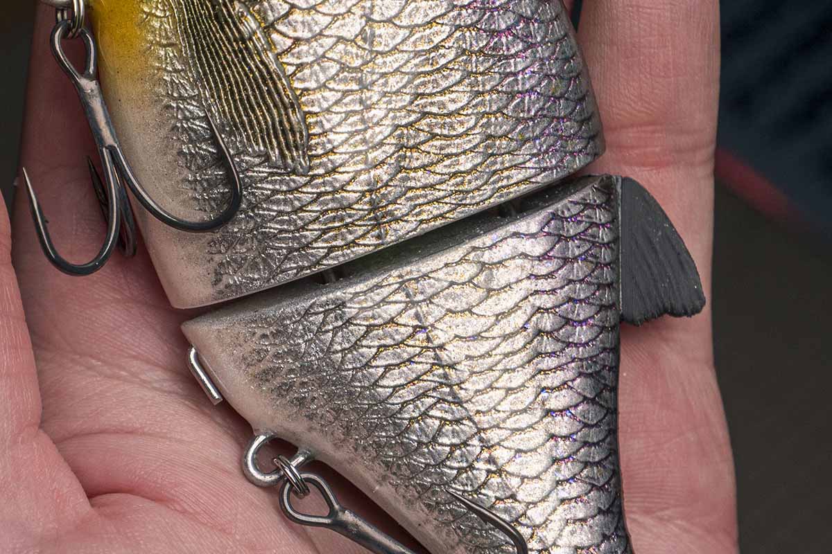 Choppy Classic – American Shad - Image 2