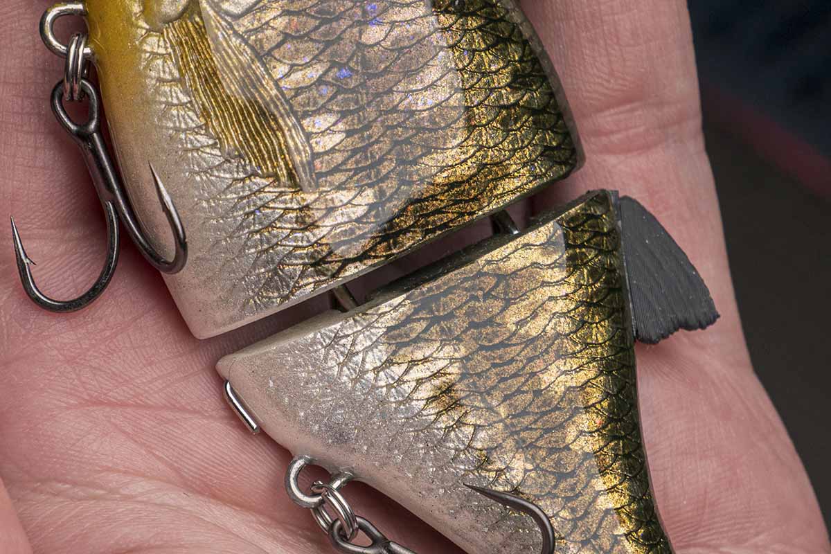 Choppy Mini – Bass - Image 2