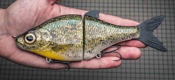 Choppy Big - Crappie