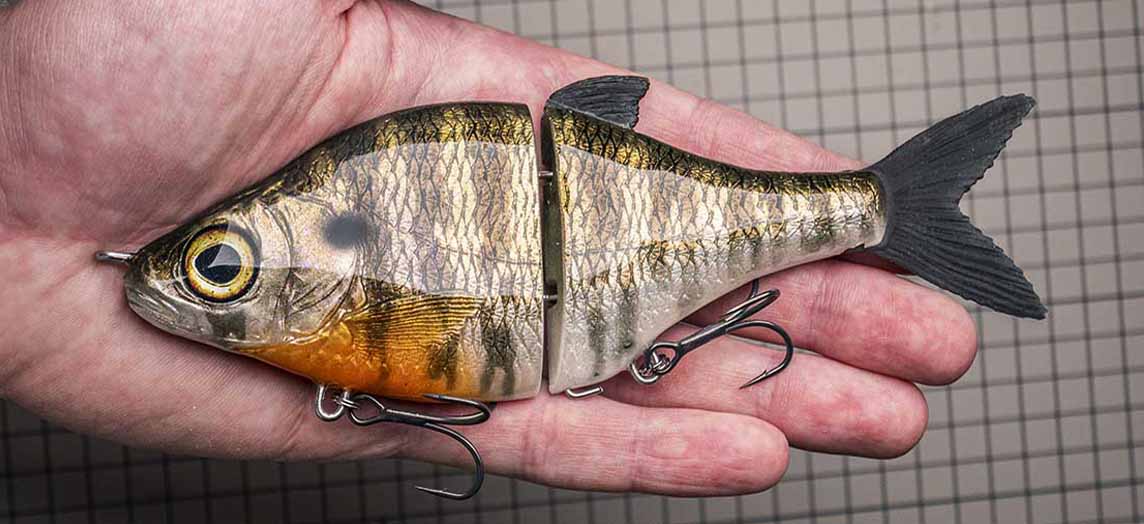 Choppy Big – Bluegill